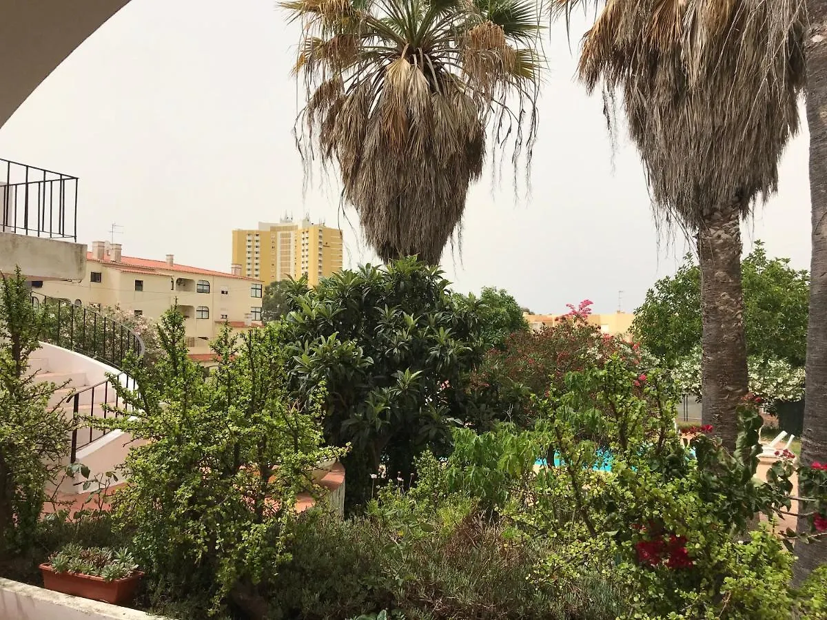 Apartamento Alvila Casa Grande